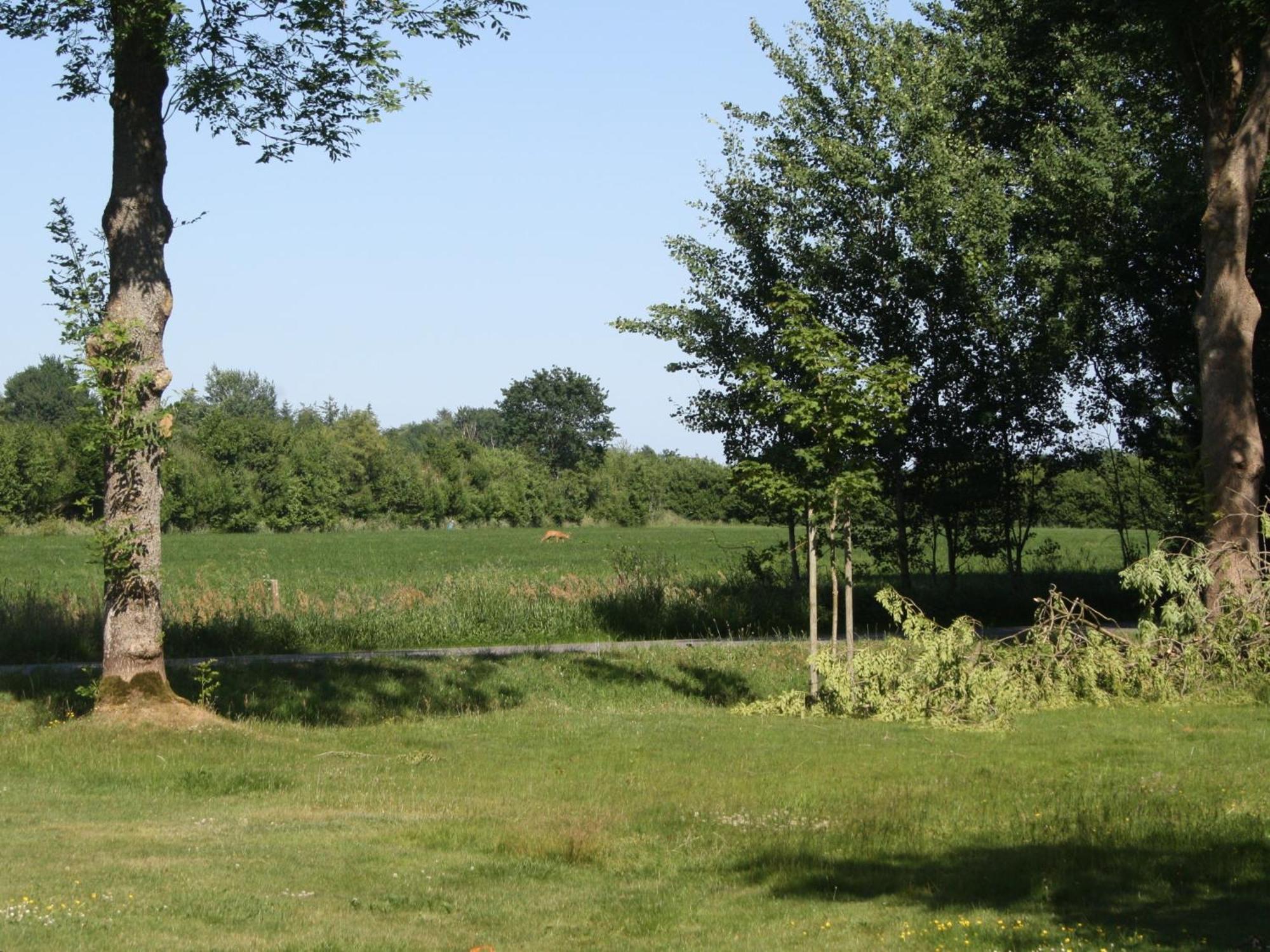 Detjens - Fewo In Ruhiger Lage Mit Terrasse Und Garten Ellingstedt Kültér fotó